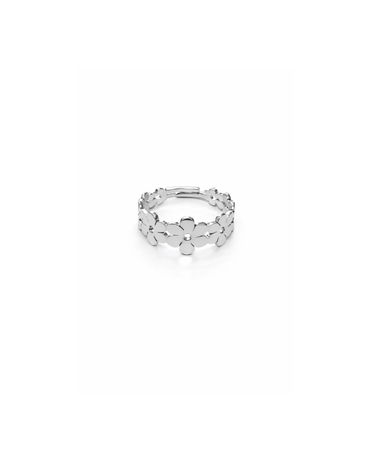 Anello Spring