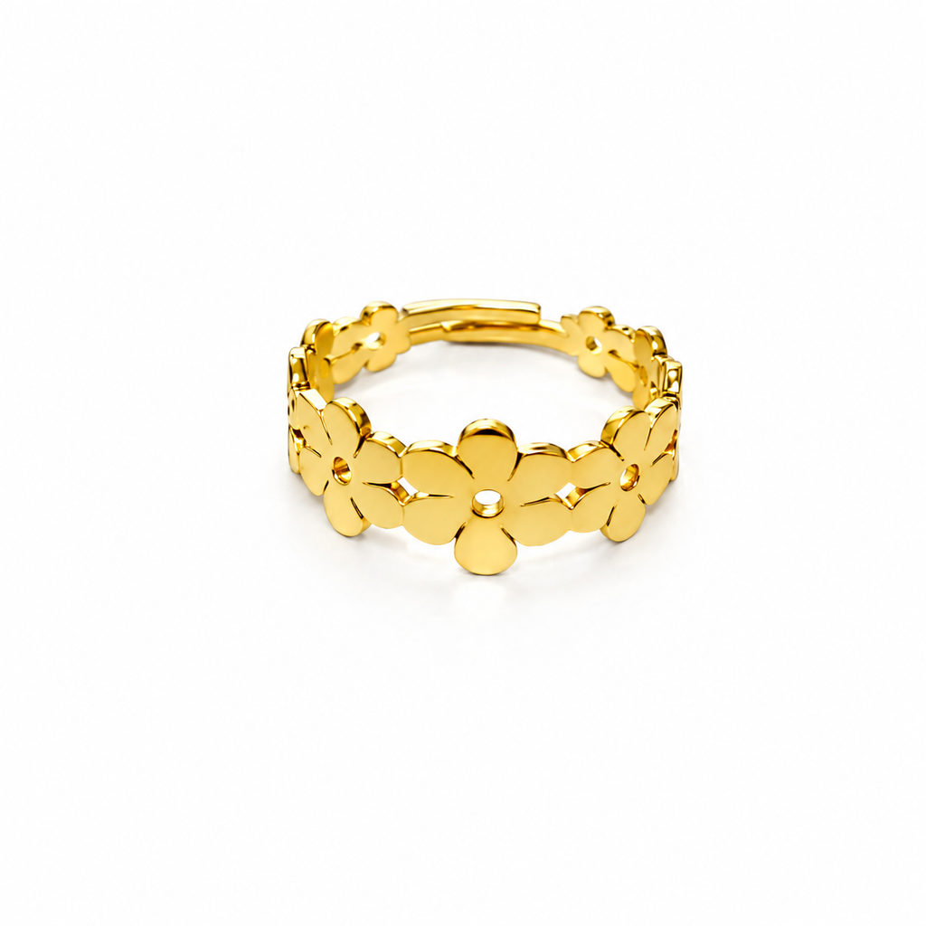 Anello Spring