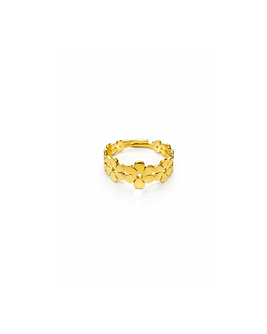 Anello Spring