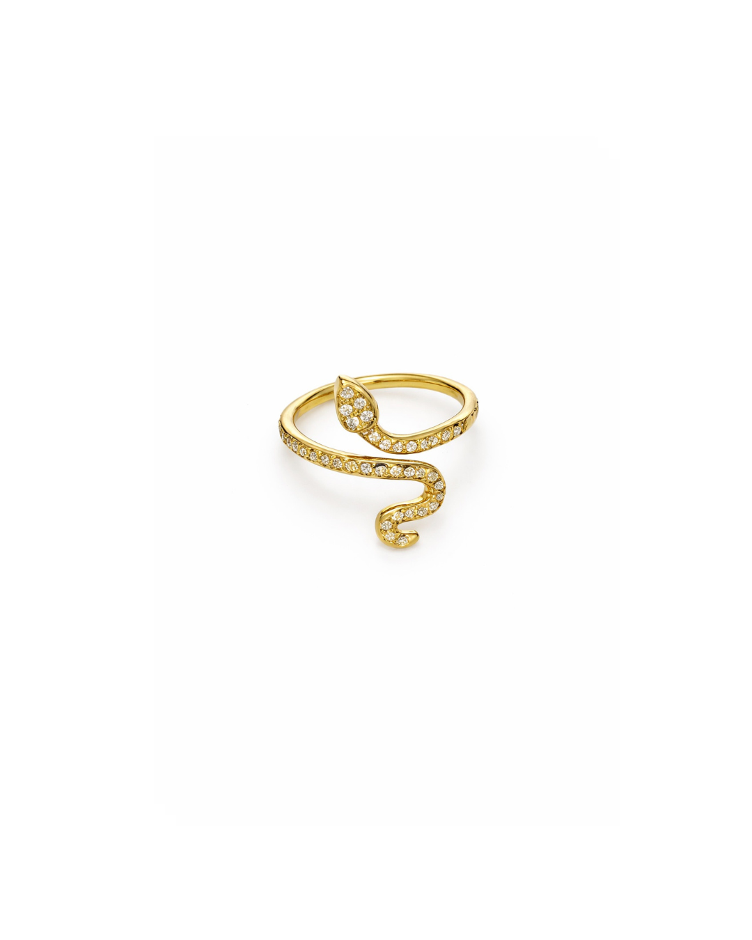 Anello Snake